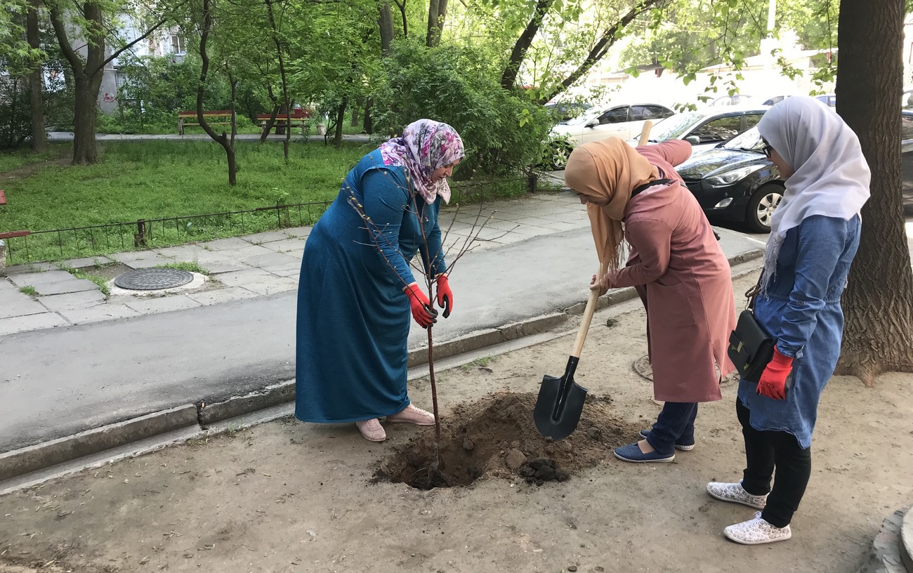 Высадка деревьев перед Рамаданом — долгосрочная милостыня мусульман  Запорожья